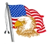 American Eagle with Flag