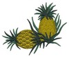 Pineapple Pair
