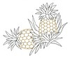 Pineapple Pair (outline)