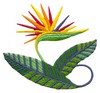 Bird of Paradise
