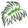 Palm leaf (outline)