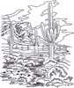 Desert Scene Landscape ( large )