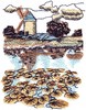 Windmill Lilypad Pond Landscape ( small )