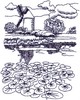 Windmill Lilypad Pond Landscape ( small )