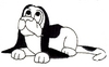 Basset Hound