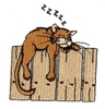 Cat Sleeping on Fence