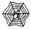 Spider and Web