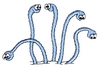 Worms