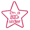 I'm A Big Sister