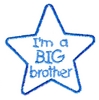 I'm A Big Brother