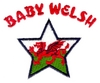 Baby Welsh