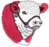 Herford  Cow Head