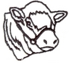 Cow Head Outline  - smaller