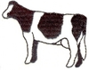Dairy Cow - one color