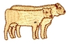 Pointing Cows