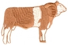 Striped Bull
