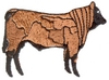 Standing Bull