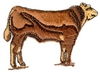 Small Bull