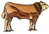 Small Cow