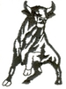 Wary Bull