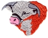 Hereford head