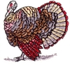 Turkey