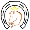 Crowned Horse Head in Shoe
