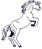 Rearing Horse