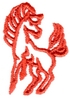 Turning Horse - mustang