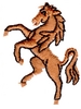Kicking Stallion