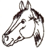 Colt head
