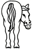 Grinning Horse