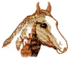 Paint Horse Head
