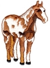 Paint Horse