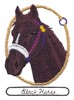 Black Horse