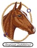 American Saddlebred Horse