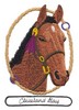 Cleveland Bay Horse