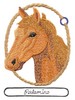 Palamino Horse