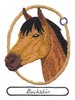 Buckskin Horse