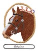 Belgian Horse