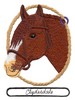 Clydesdale Horse