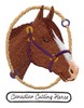 Canadian Cutting Horse