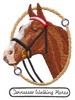 Tennessee Walking Horse