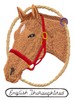 English Thoroughbred Horse