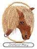 Shetland Pony