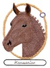 Hanoverian Horse