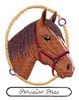 Peruvian Paso Horse