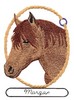 Morgan Horse