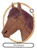 Friesan Horse