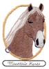 Mountain Horse